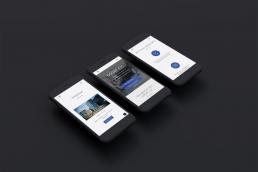 Webdesign Stuttgart Protfolio DGGEF e.V.
